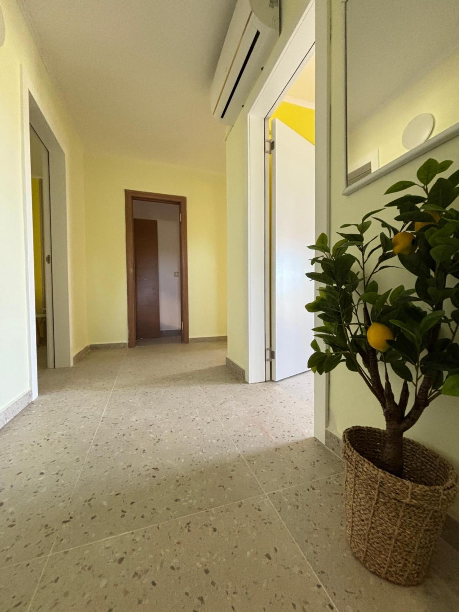 Appartement Vuko I Magdalena Midzor à Petrovac Extérieur photo