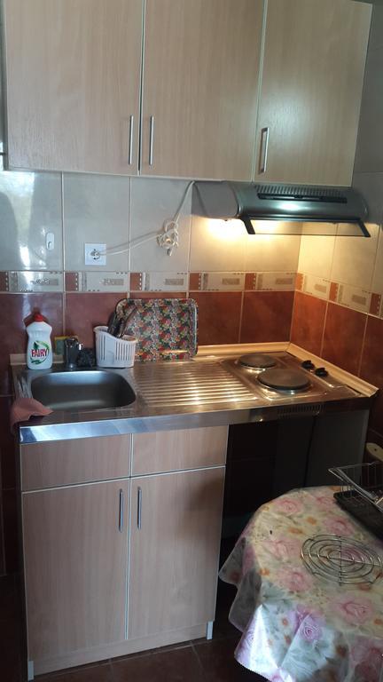 Appartement Vuko I Magdalena Midzor à Petrovac Chambre photo
